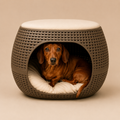Cama-Asiento para Mascotas Bed Pet