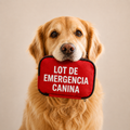 Kit de Primeros Auxilios para Mascotas
